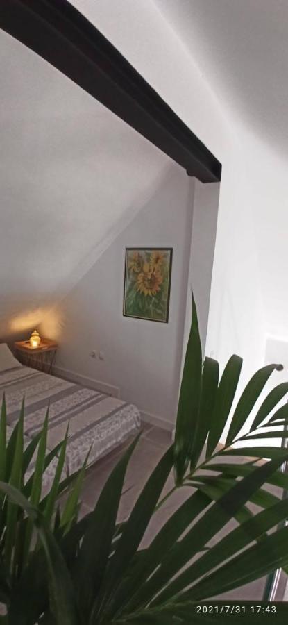 La Casita De Juani,Leoeser 아게이크 외부 사진